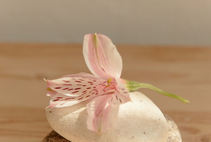 Nervous System social media posts-24