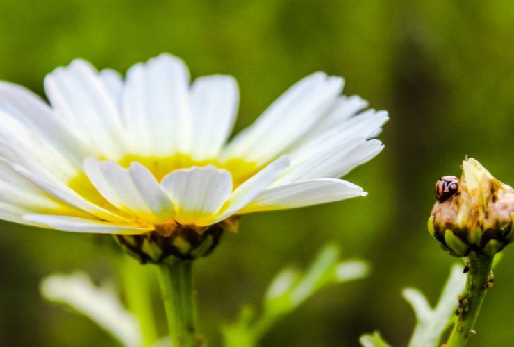 Nervous System social media posts-25